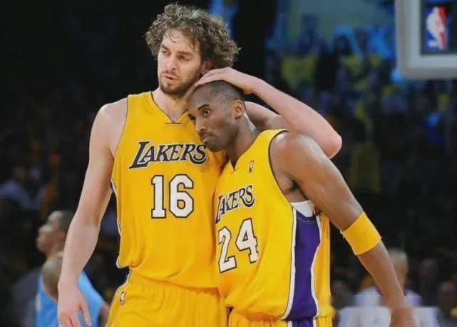 不论分配的 不论分配的